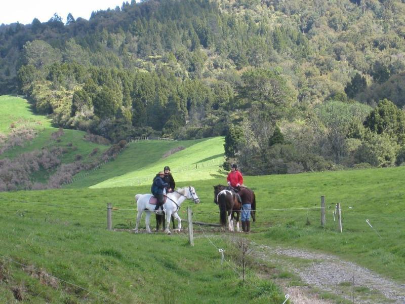 Kaimai Country Lodge กาติกาติ ภายนอก รูปภาพ