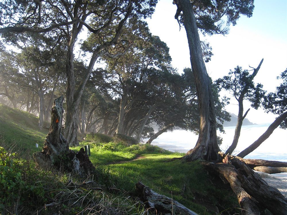 Kaimai Country Lodge กาติกาติ ภายนอก รูปภาพ