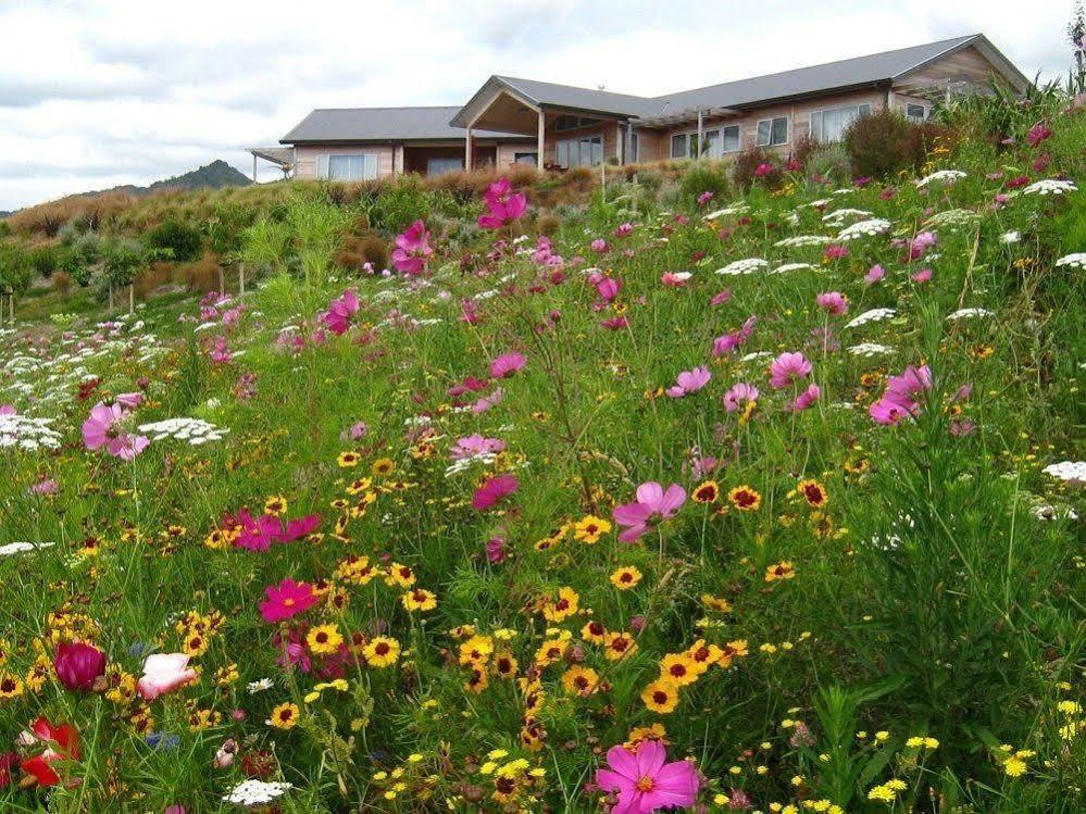 Kaimai Country Lodge กาติกาติ ภายนอก รูปภาพ